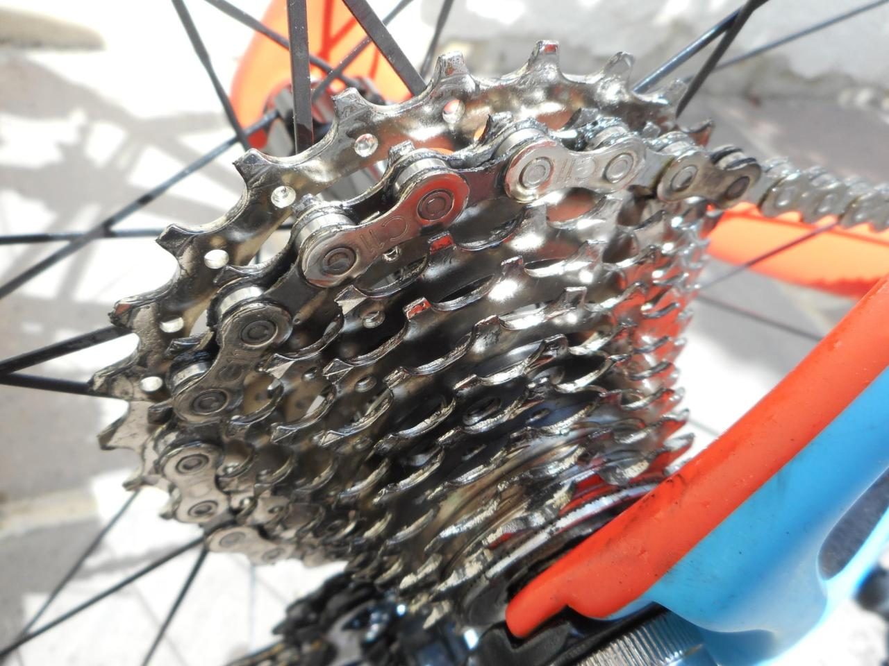 Cleaned bike chain